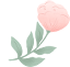 国内手机号如何注册ChatGPT